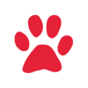 Pet Policy